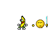 bananacoupe